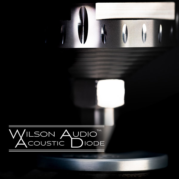 展樂音響 台南音響 經營品牌 Wilson Audio Acoustic-Diode
