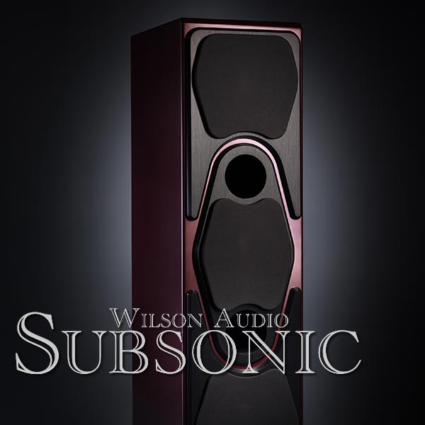展樂音響 台南音響 經營品牌 Wilson Audio Subsonic