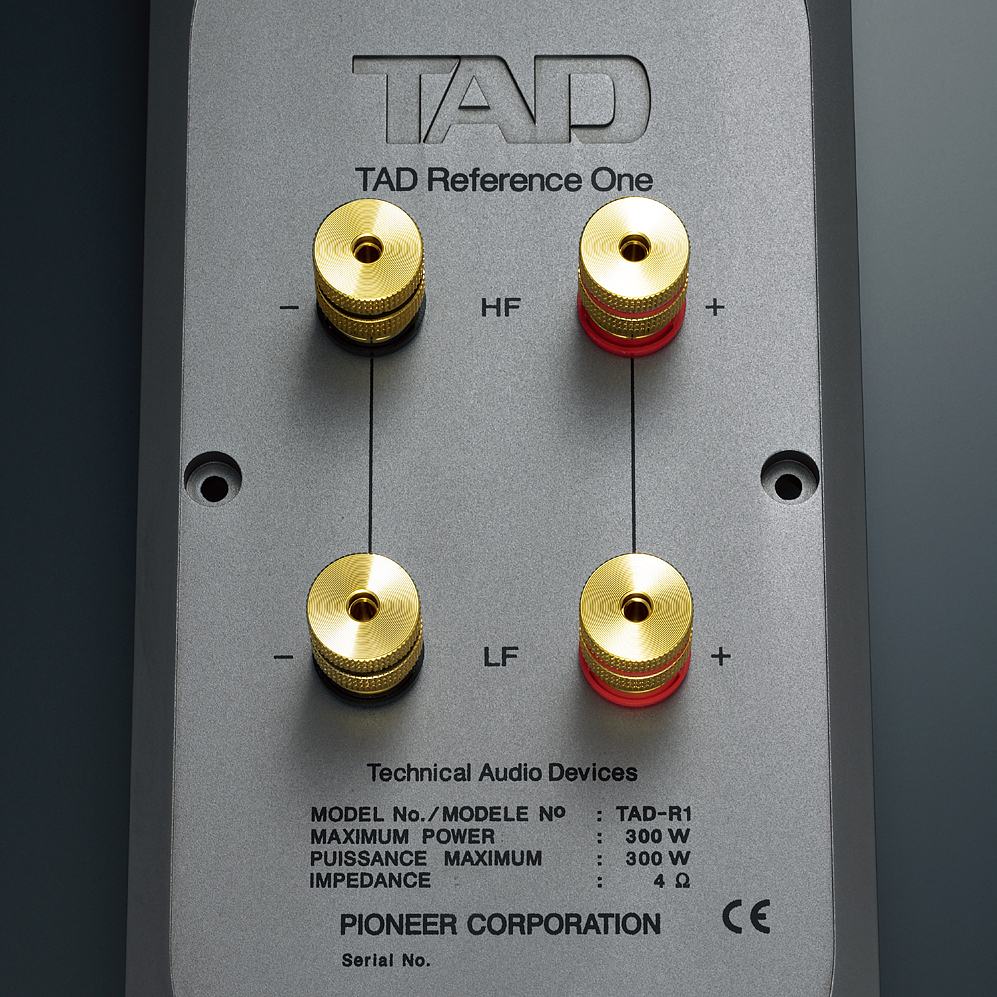 展樂音響 台南音響 經營品牌 TAD R1TX